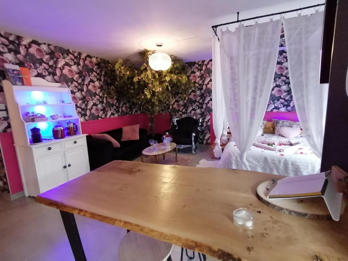 Romantisme Et Glamour 2 Avec Spa , Clim Et Jardin Dijon Zewnętrze zdjęcie