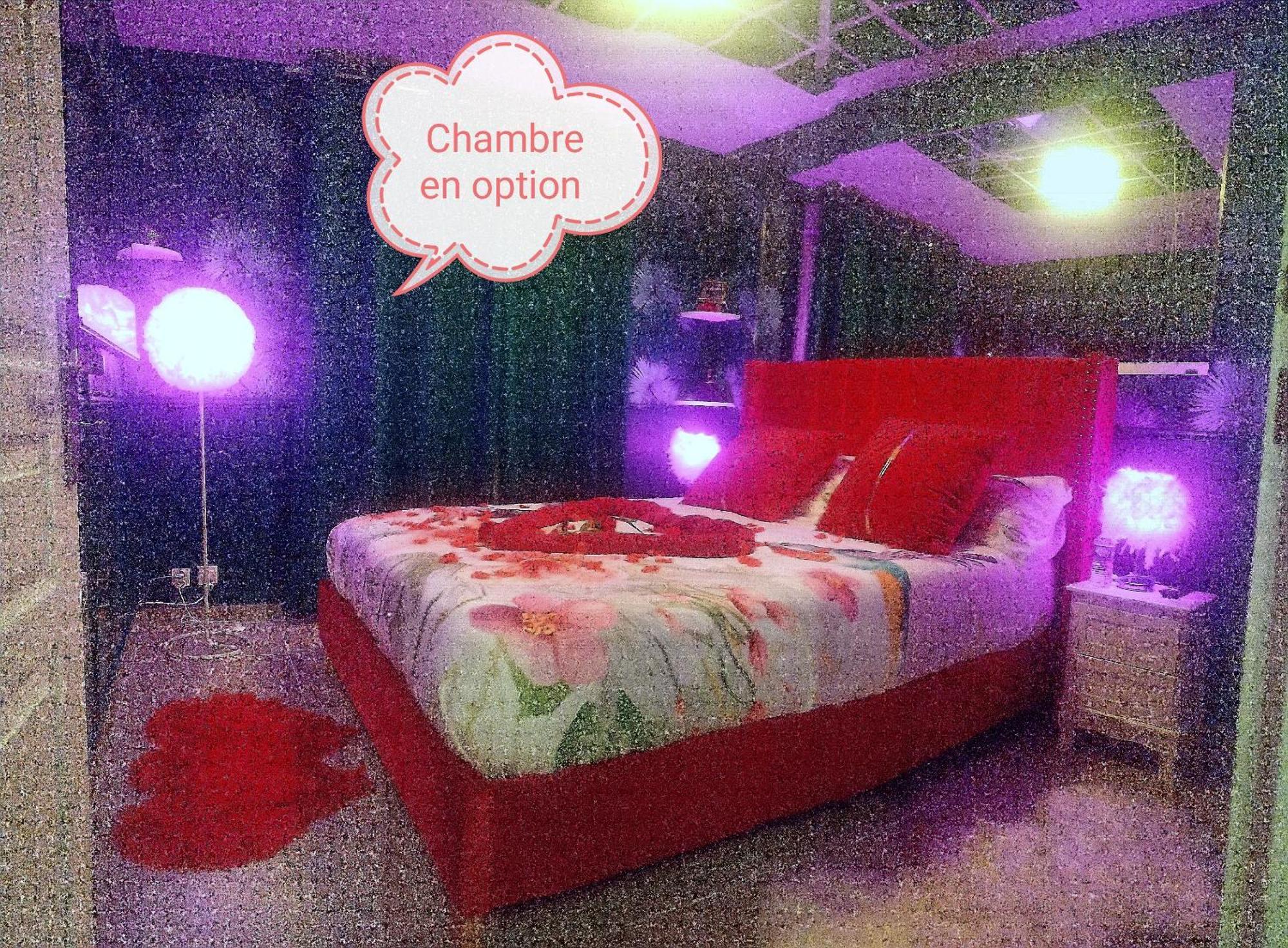 Romantisme Et Glamour 2 Avec Spa , Clim Et Jardin Dijon Zewnętrze zdjęcie